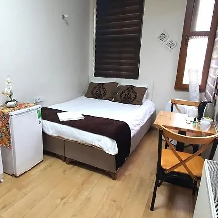 Ariya Yildiz Apart 102 Διαμέρισμα Κωνσταντινούπολη